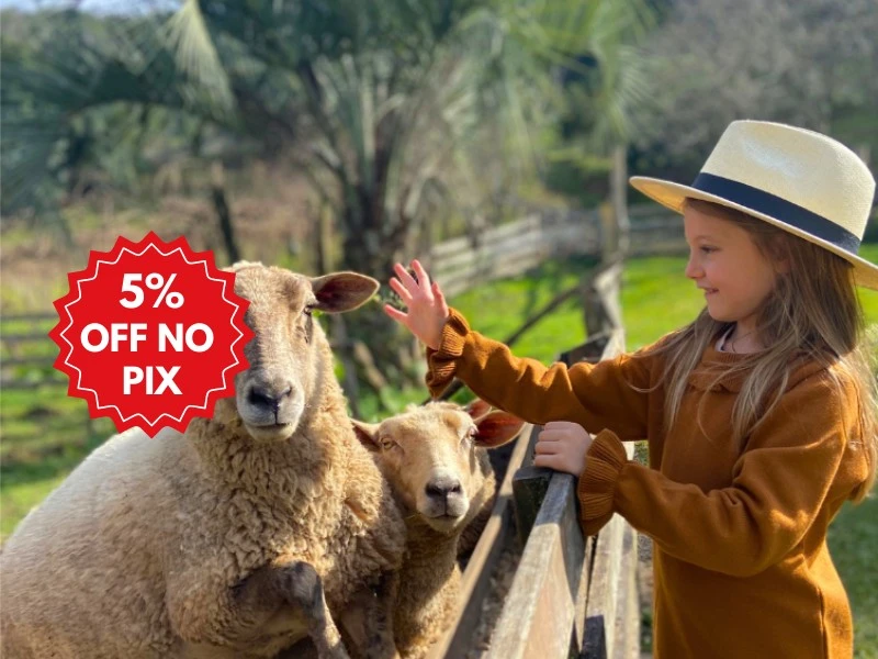 Passeio Linha Bella Com Almoço Cantina Italiana e Transporte