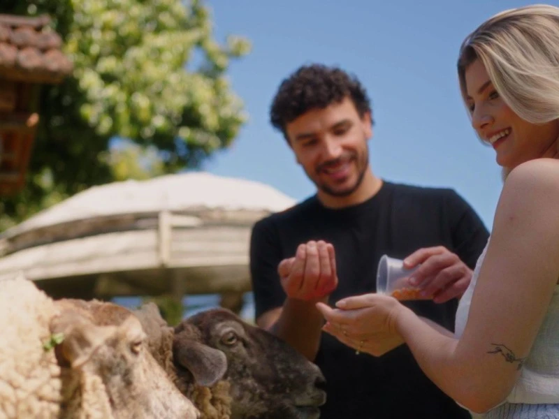 Passeio Linha Bella Com Almoço Cantina Italiana e Transporte