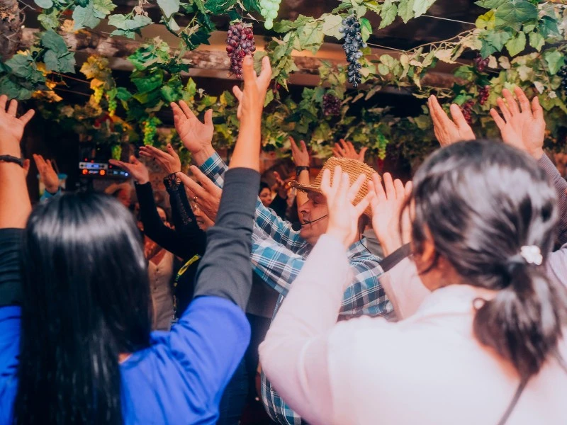 Passeio Linha Bella Com Almoço Cantina Italiana e Transporte